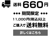 送料648円～期間限定10,800円（税込）以上ご購入で送料無料