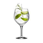 ItHX GIN & TONIC (WgjbNjOX4PZbg