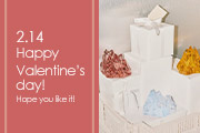 ��؂ȕ��ց[�f�G�ȑ��蕨�� Happy Valentine�fs day! 